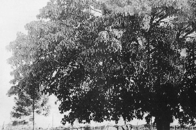 p 14/116