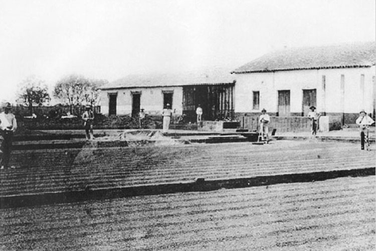 p 16/116